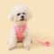 Breathable Butterfly Pet Harness And Leash Set 10