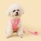 Breathable Butterfly Pet Harness And Leash Set 10