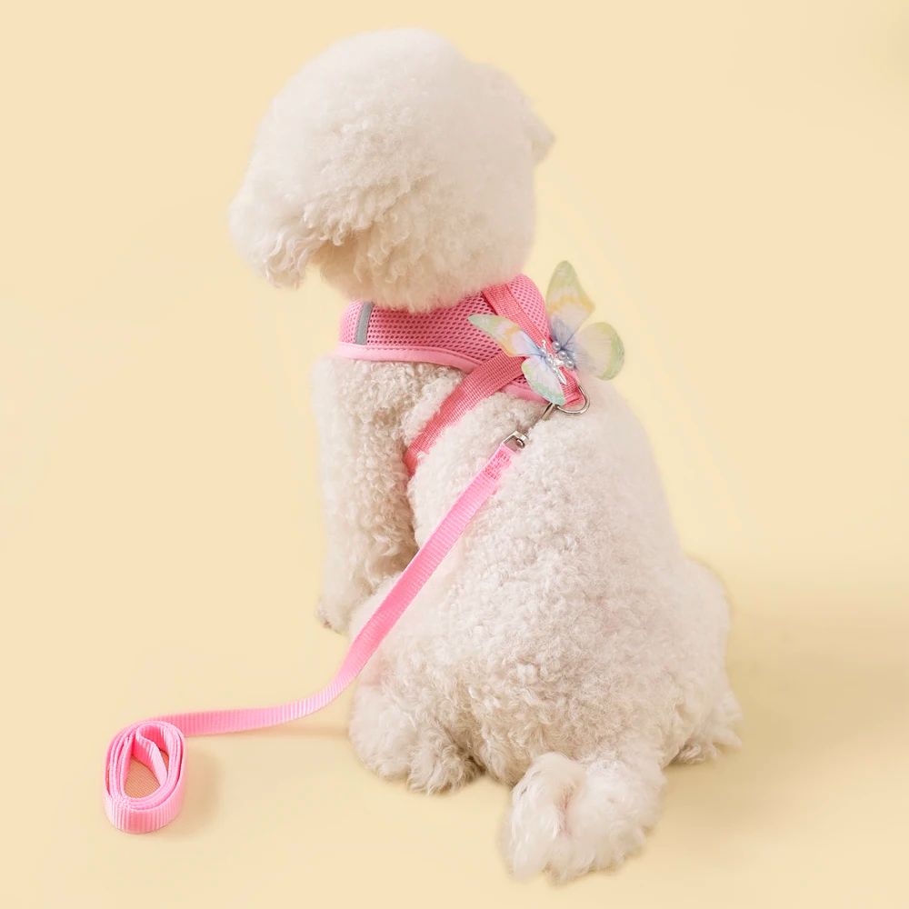 Breathable Butterfly Pet Harness And Leash Set 11