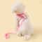 Breathable Butterfly Pet Harness And Leash Set 11