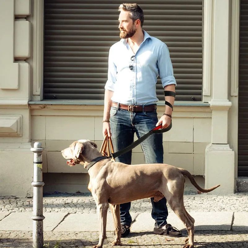 Heavy Duty Double Handle Nylon Dog Leash 2