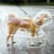 Transparent Waterproof Pet Raincoat For Small To Large Dogs 5