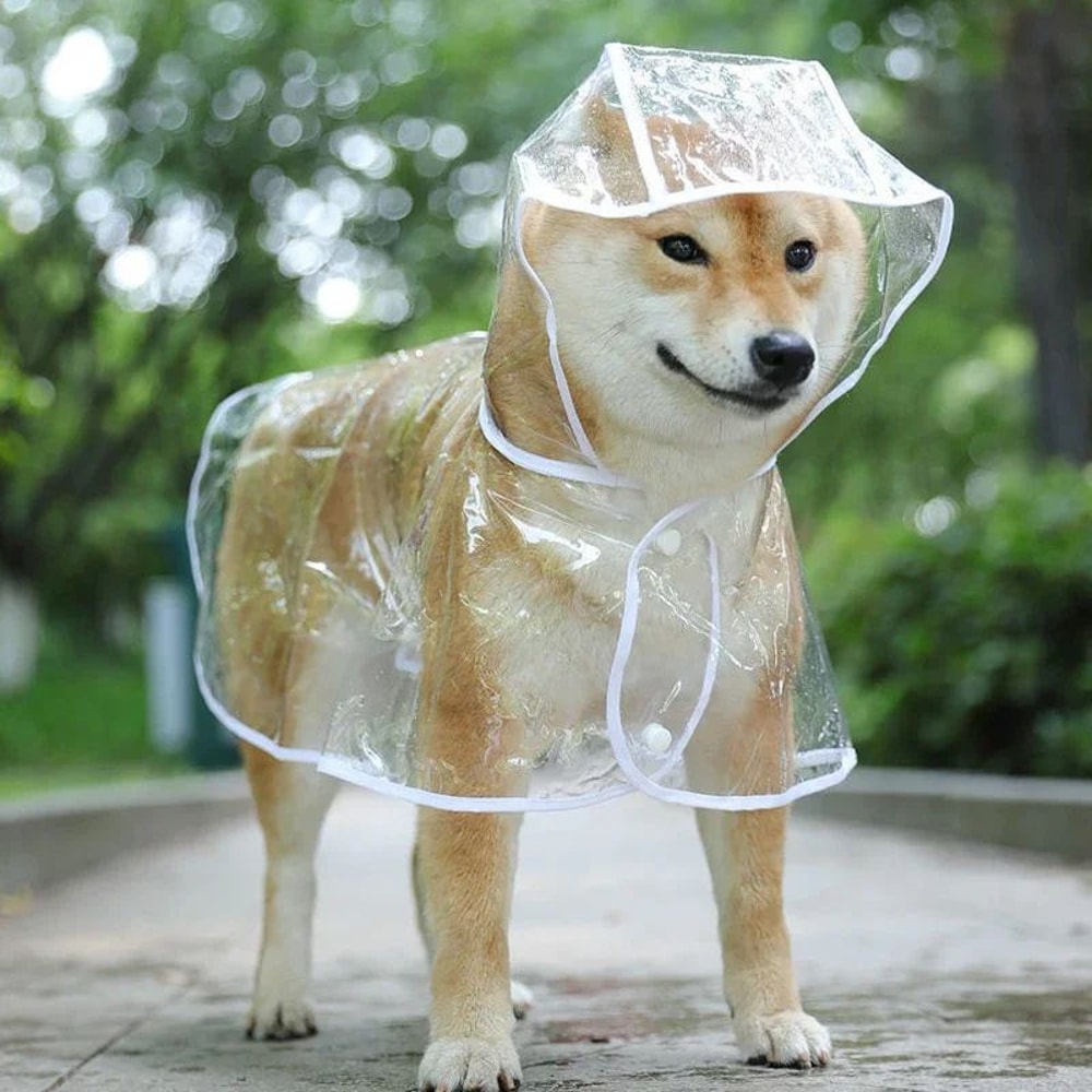 Transparent Waterproof Pet Raincoat For Small To Large Dogs 6