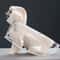 Transparent Waterproof Pet Raincoat For Small To Large Dogs 9