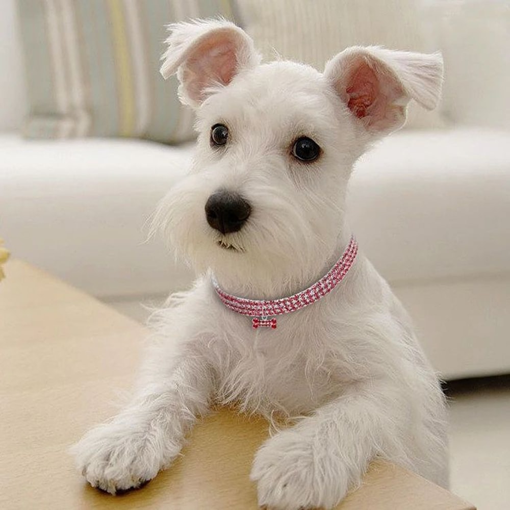 Rhinestone Crystal Dog Collar With Custom Engraving 7