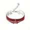 Rhinestone Crystal Dog Collar With Custom Engraving 11