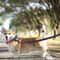 Dual Color Long Training Dog Leash 6