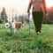Dual Color Long Training Dog Leash 9