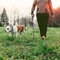 Dual Color Long Training Dog Leash 9
