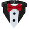 Elegant Pet Wedding Collar With Bow Tie Bandana 9