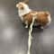 Macaron Dual Head Pet Harness And Leash Set 8