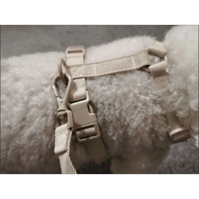 Macaron Dual Head Pet Harness And Leash Set 9