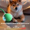 Smart Automatic Rolling Interactive Dog Ball Toy 3