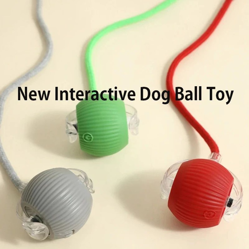 Smart Automatic Rolling Interactive Dog Ball Toy 5