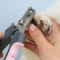 Professional Stainless Steel Pet Nail Clipper 3