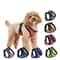 Breathable Summer Pet Harness And Leash Set 1