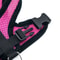 Breathable Summer Pet Harness And Leash Set 3