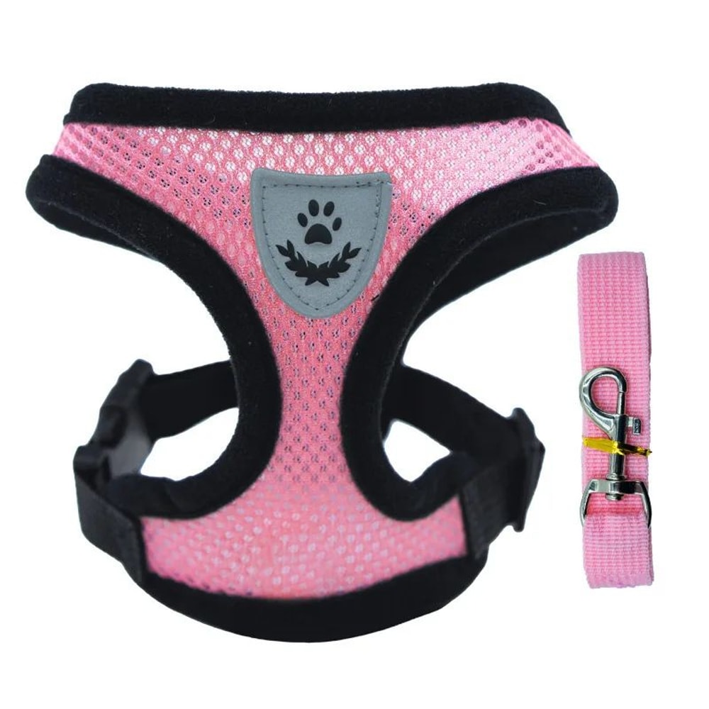 Breathable Summer Pet Harness And Leash Set 11