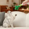Beer Bottle Plush Squeaky Dog Chew Toy 6