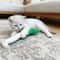 Beer Bottle Plush Squeaky Dog Chew Toy 7