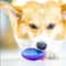 Natural Rubber Squeaky Dog Chew Ball Toy 5
