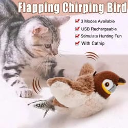 interactive bird sound plush cat toy with elastic rope