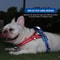 Reflective Two Tone Dog Chest Harness With Handle 4