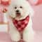 Valentines Hearts Pet Bandana Scarf 1