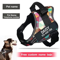 adjustable nylon dog harness with custom id tag