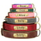 Custom PU Leather Dog Collar With Engraved Nameplate 2