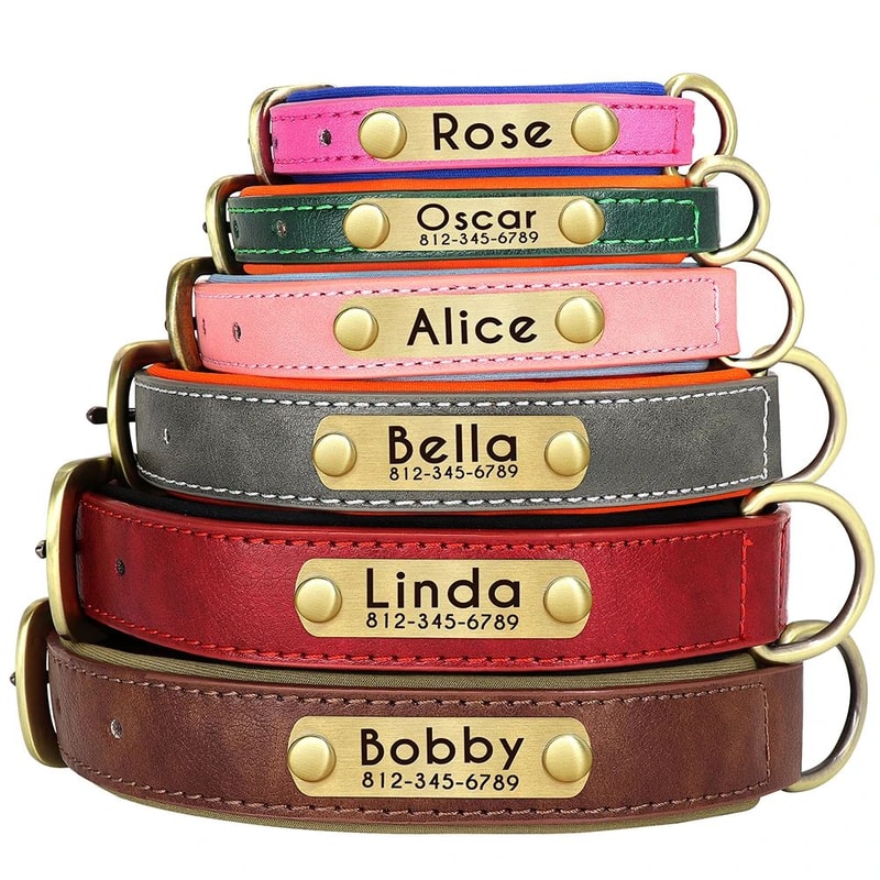 Custom PU Leather Dog Collar With Engraved Nameplate 2