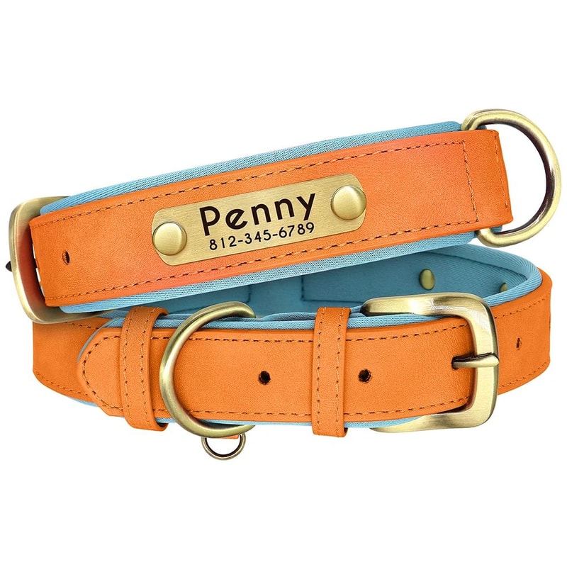 Custom PU Leather Dog Collar With Engraved Nameplate 9