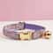 Personalized Cute Cat Collar And Leash Set With Bell 18