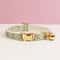 Personalized Cute Cat Collar And Leash Set With Bell 20