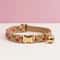 Personalized Cute Cat Collar And Leash Set With Bell 13