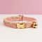 Personalized Cute Cat Collar And Leash Set With Bell 14