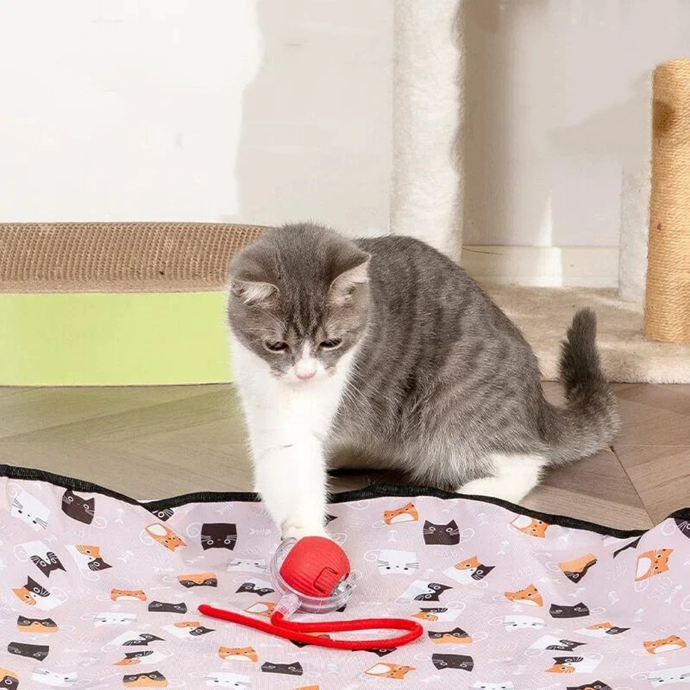 Interactive Double Layer Hunting Cover Toy For Cats And Dogs 4