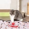 Interactive Double Layer Hunting Cover Toy For Cats And Dogs 4
