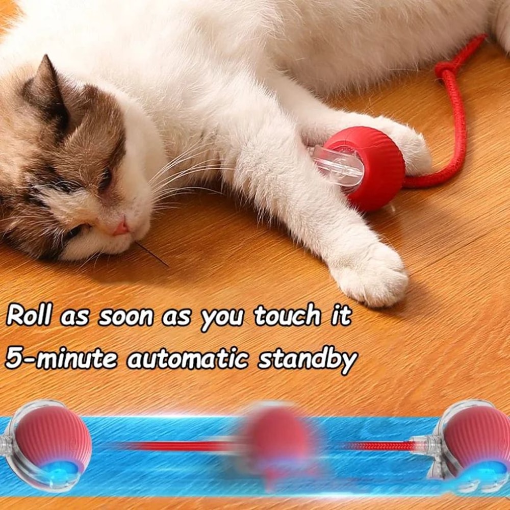 Rechargeable Interactive Rolling Ball Toy For Cats And Dogs 1