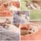 Soft Plush Donut Pet Bed For Cats And Small Dogs 5
