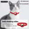 Personalized Breakaway Cat Collar With AirTag Holder 2