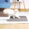 Double Layer Waterproof Pet Cat Litter Mat 7