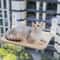 Foldable Cat Window Hammock With Suction Cups 0