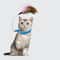 Interactive Feather Bell Cat Collar Toy 0