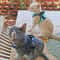 Breathable Adjustable Kitten Harness Set 4