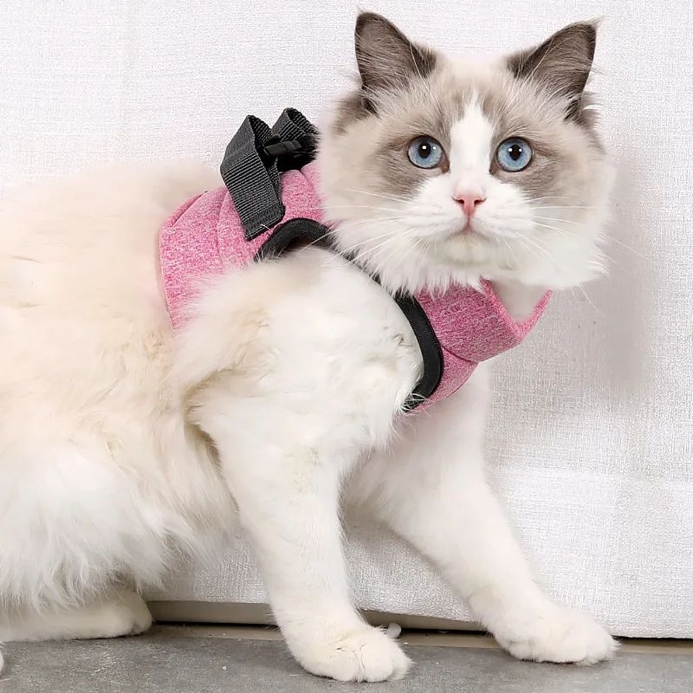 Breathable Adjustable Kitten Harness Set 6