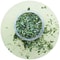 Organic Natural Catnip Mint Toy 3