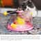 Interactive Cat Puzzle Treasure Chest Toy 4