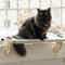 Wooden Frame Cat Window Hammock Bed 11