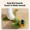 Interactive Plush Bird Sound Cat Toy With Catnip 4